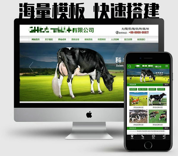 網(wǎng)站建設(shè)制作每年怎么收費(fèi)